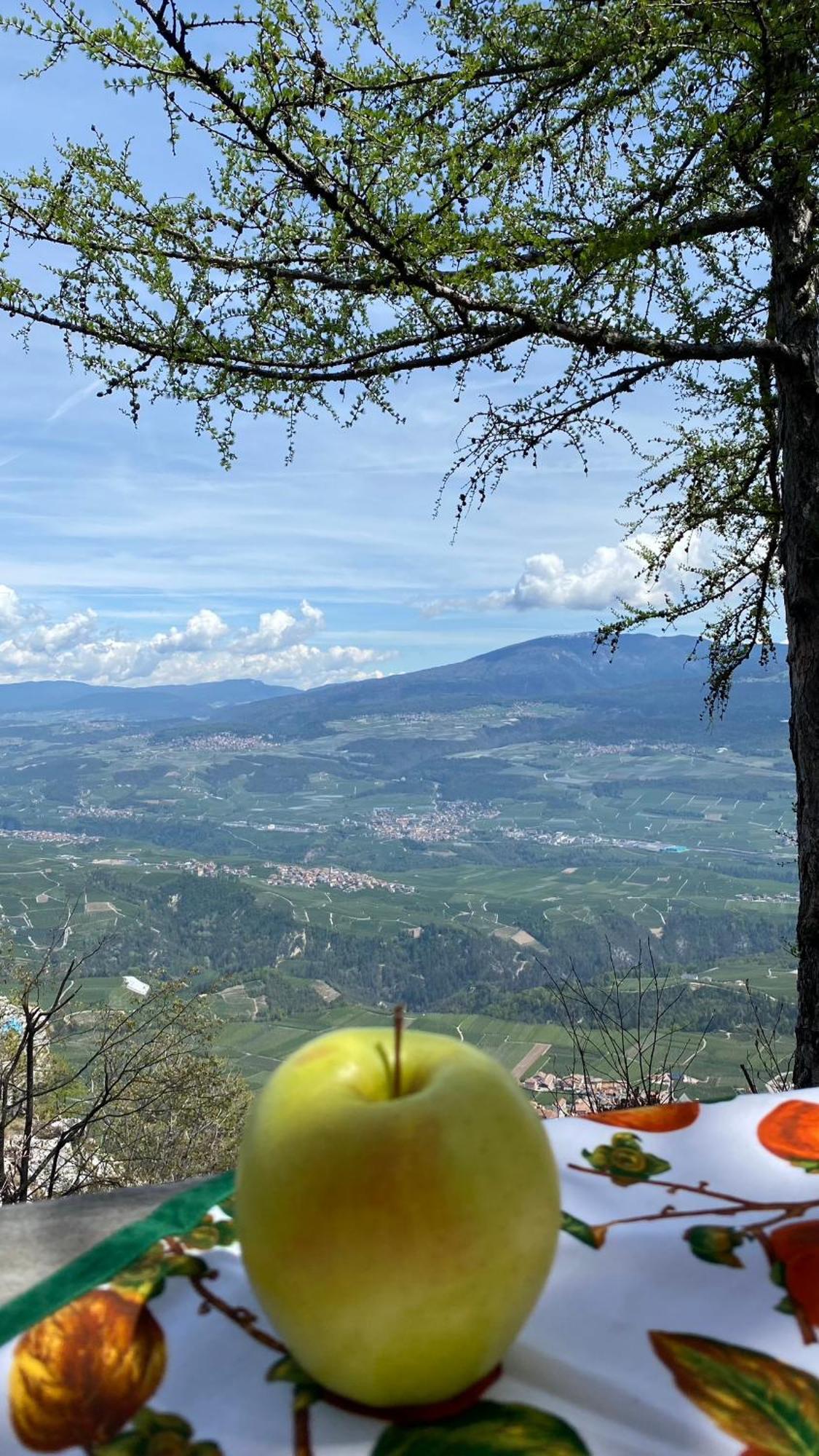 Вилла Agritur La Crucola Флавон Экстерьер фото